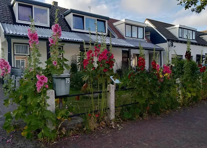 B&B Txl